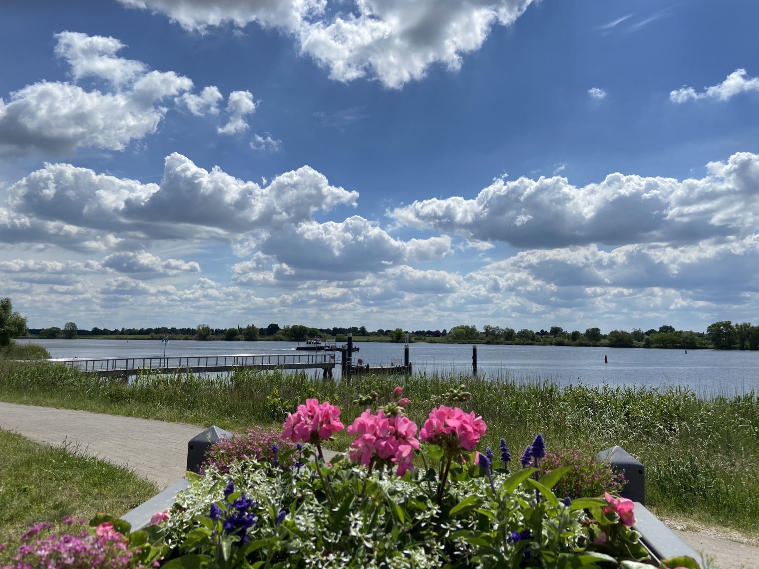 Sommer in Tesperhude 