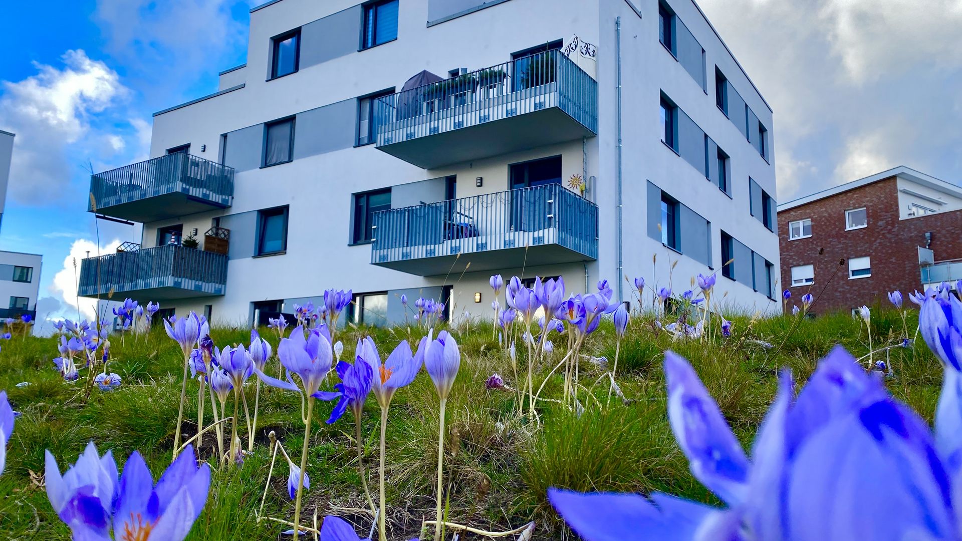 Frühling am Westhafen Geesthacht 